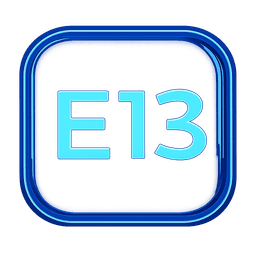E13
